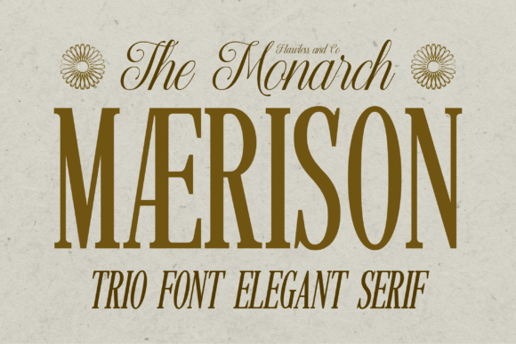 Maerison: A Sophisticated Serif Font Review