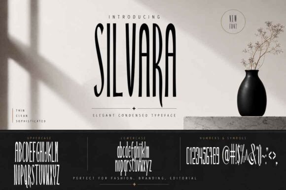 Silvara: A Bold Sans Serif Display Font for Modern Branding